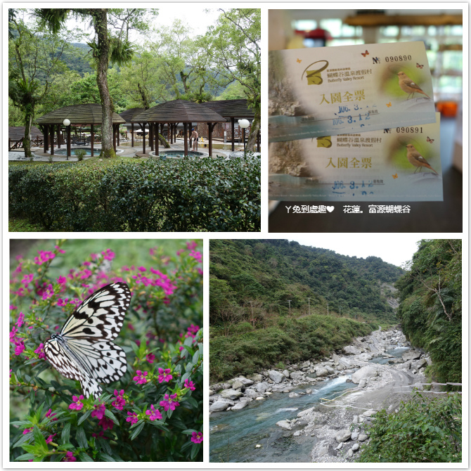 花蓮景點 富源蝴蝶谷溫泉渡假村 國家森林遊樂區 ㄚ兔到處趣