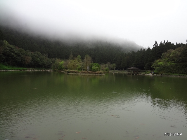 宜蘭 力麗馬告生態園區 棲蘭 明池森林遊樂區 明池山莊住宿 ㄚ兔到處趣